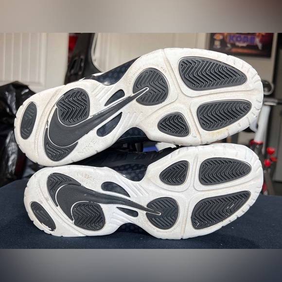 Little Posite Pro GS - Picture 7 of 10